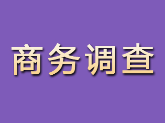 淄川商务调查